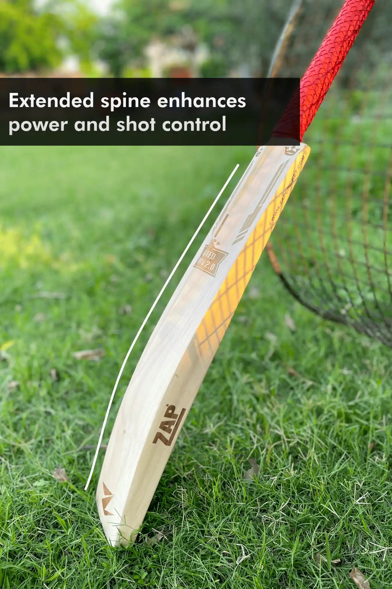 ZAP Signature Limited Edition 2.0 Premium Willow Bat-3